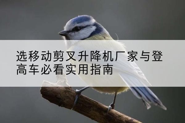 巴里坤电动升降机厂家-选移动剪叉升降机厂家与登高车必看实用指南