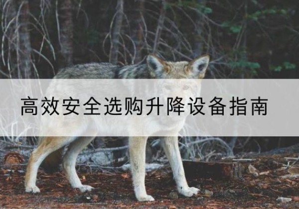 巴里坤升降货梯厂家推荐-*安全选购升降设备指南
